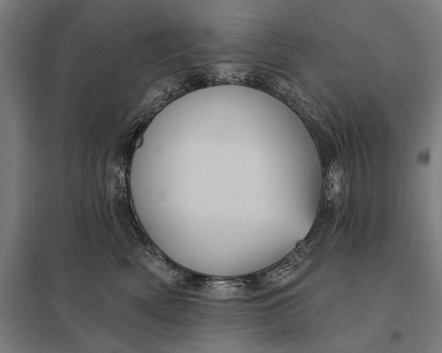 X0000097910522200803281405