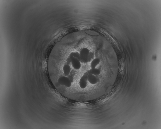 X0000097910523200803281405