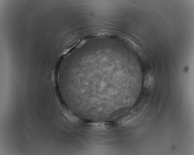 X0000097910524200803281405