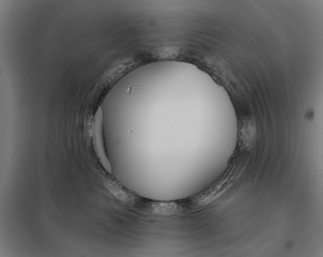 X0000097910525200803281405