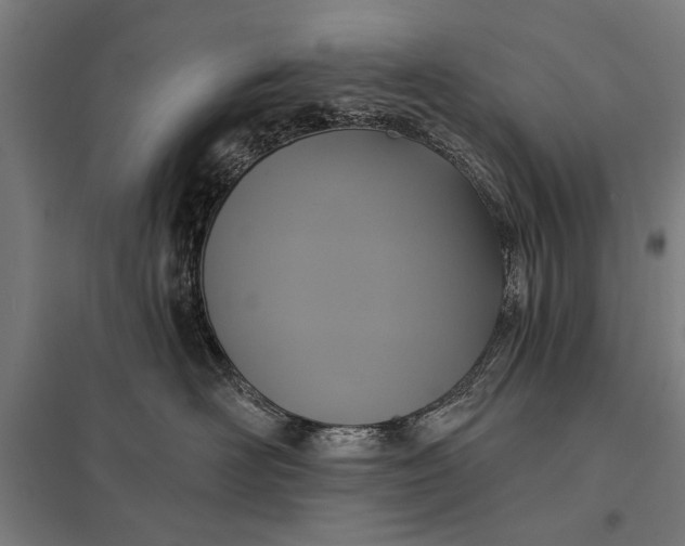 X0000097910526200803281405