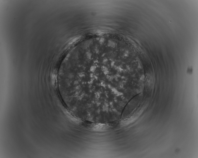 X0000097910527200803281405