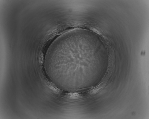 X0000097910528200803281405