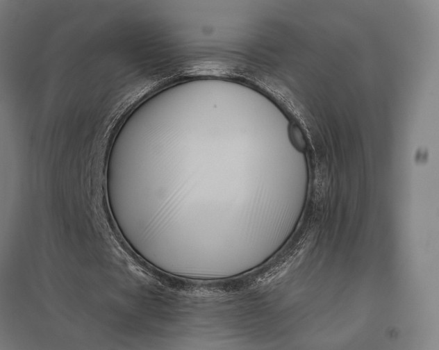 X0000097910529200803281405