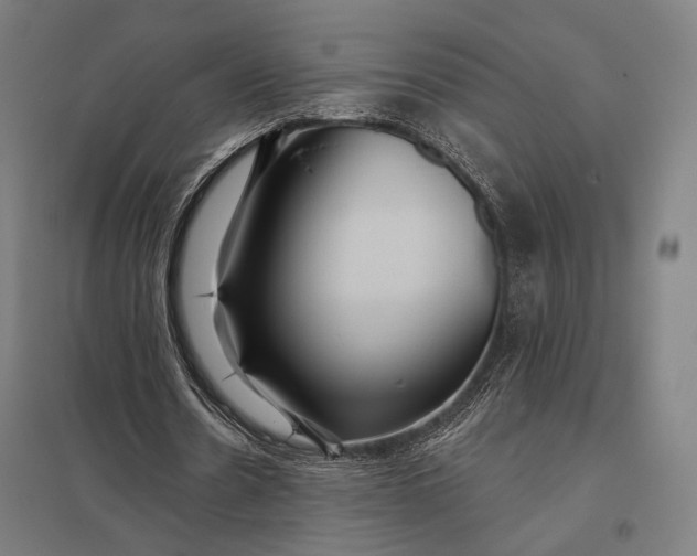 X0000097910530200803281405