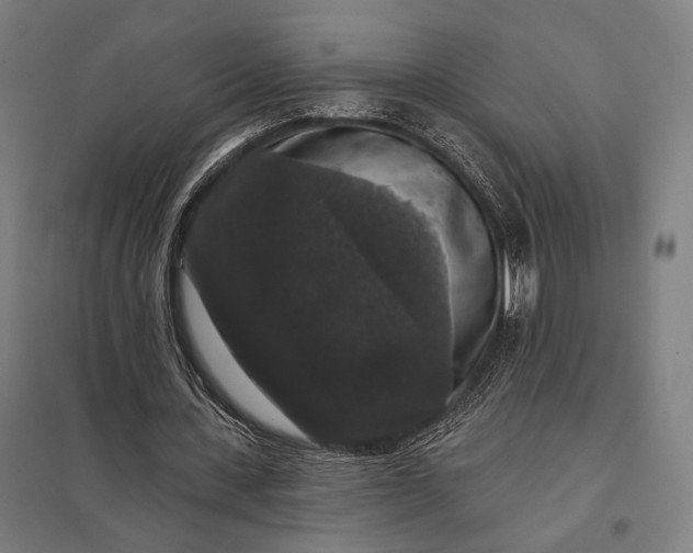 X0000097910531200803281405