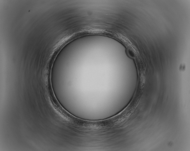 X0000097910533200803281405