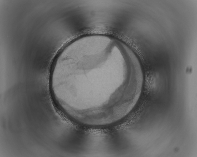 X0000097910534200803281405