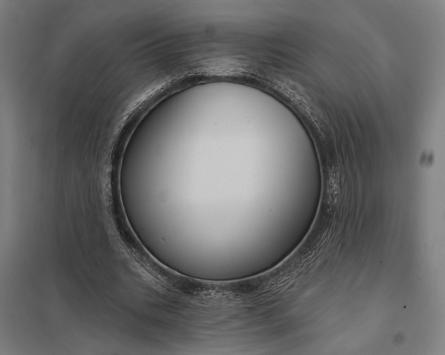 X0000097910535200803281405