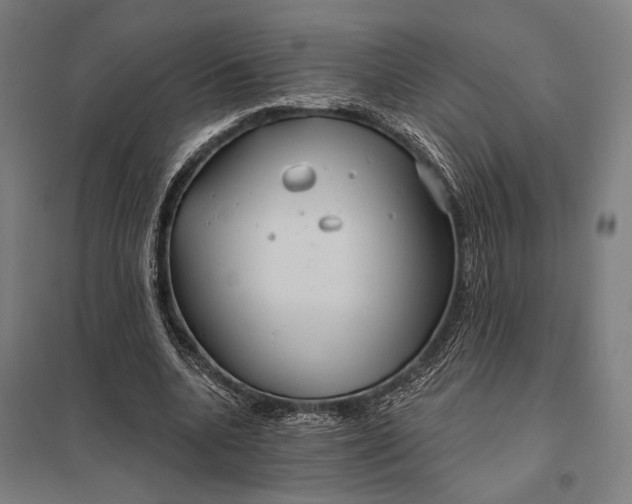 X0000097910536200803281405