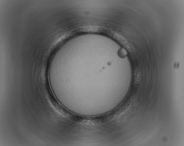 X0000097910538200803281405