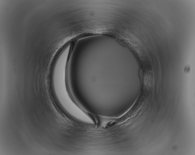 X0000097910540200803281405