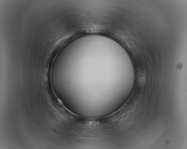 X0000097910543200803281405