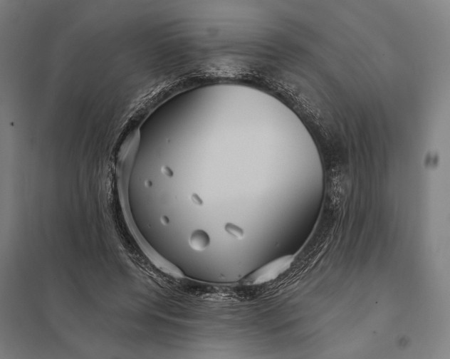 X0000097910544200803281405