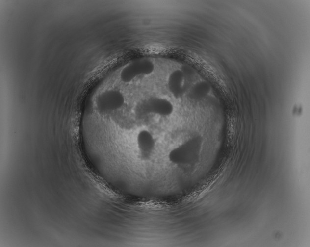 X0000097910545200803281405