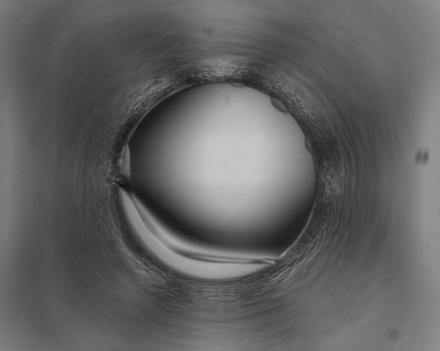 X0000097910546200803281405