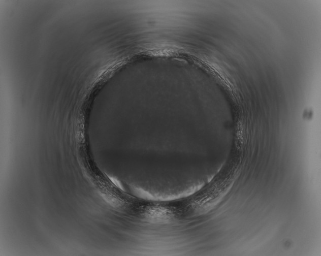 X0000097910547200803281405