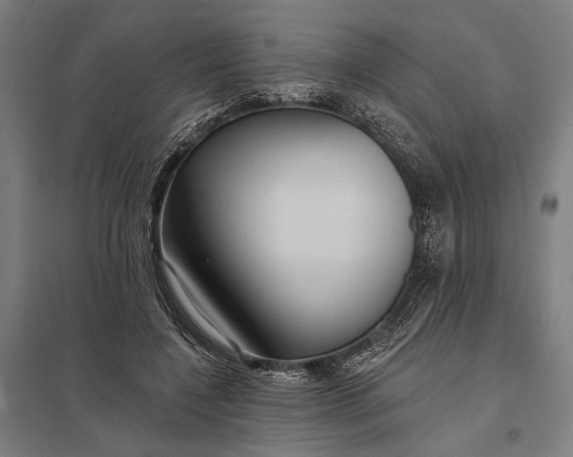 X0000097910548200803281405