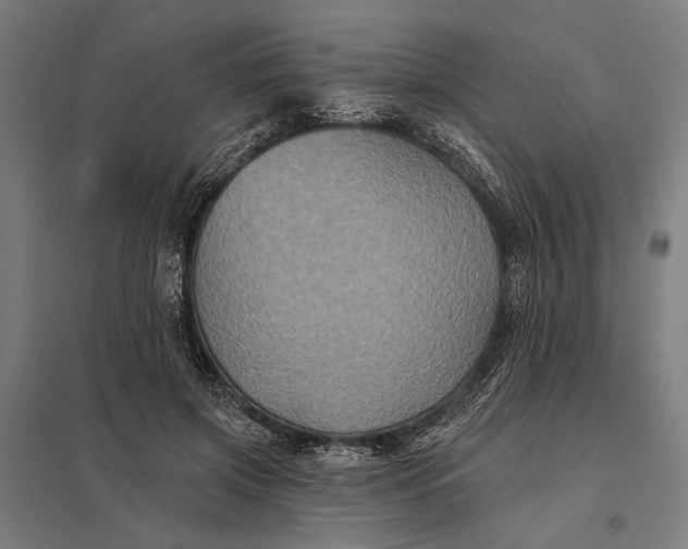 X0000097910549200803281405