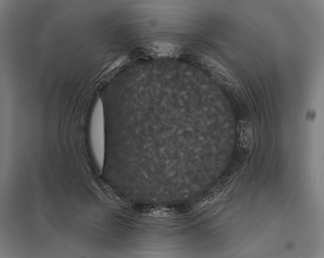 X0000097910550200803281405