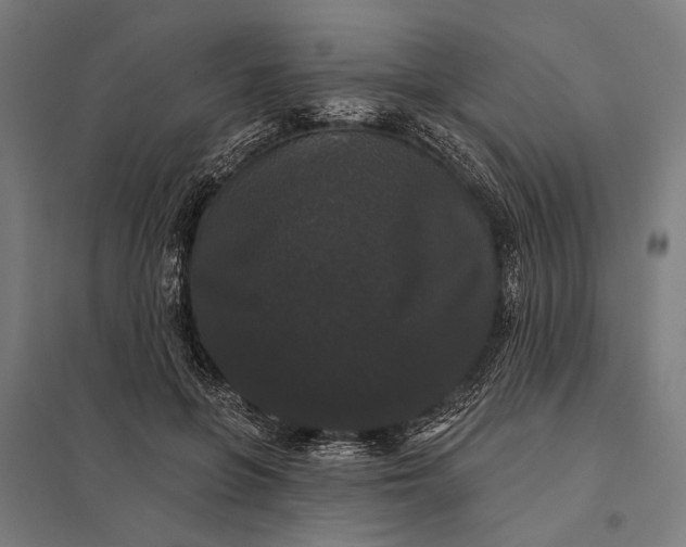 X0000097910551200803281405