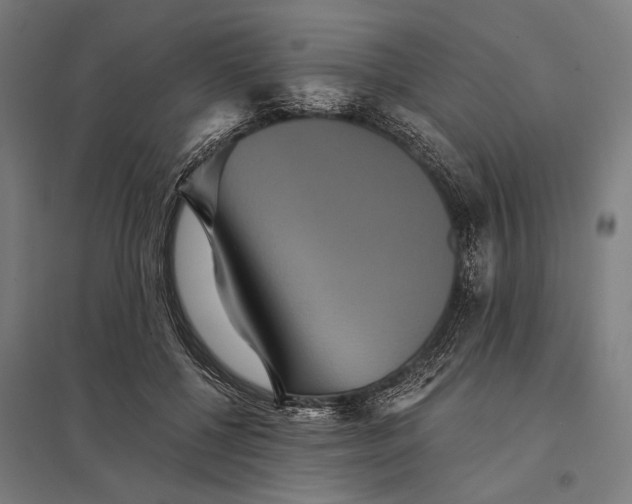 X0000097910552200803281405