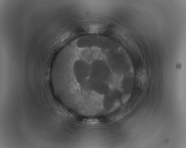 X0000097910554200803281405