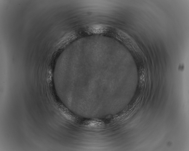 X0000097910555200803281405