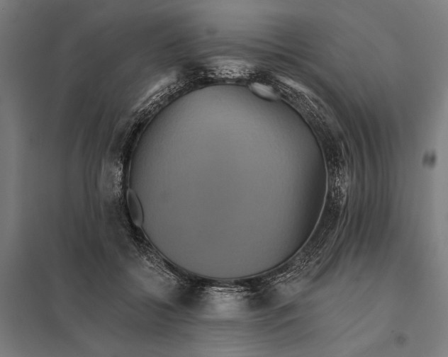 X0000097910556200803281405