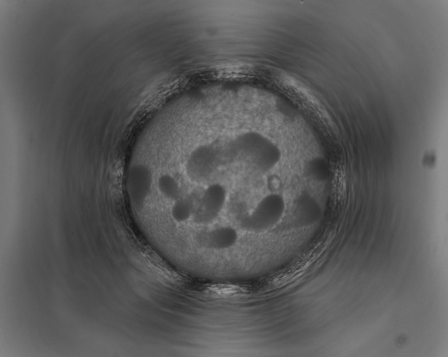 X0000097910557200803281405