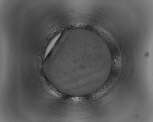 X0000097910558200803281405