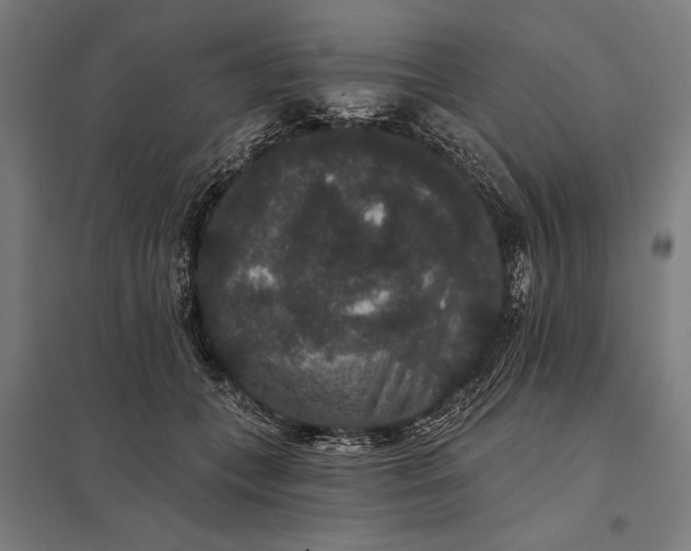 X0000097910559200803281405