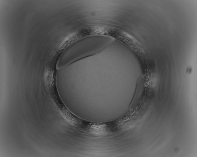 X0000097910560200803281405