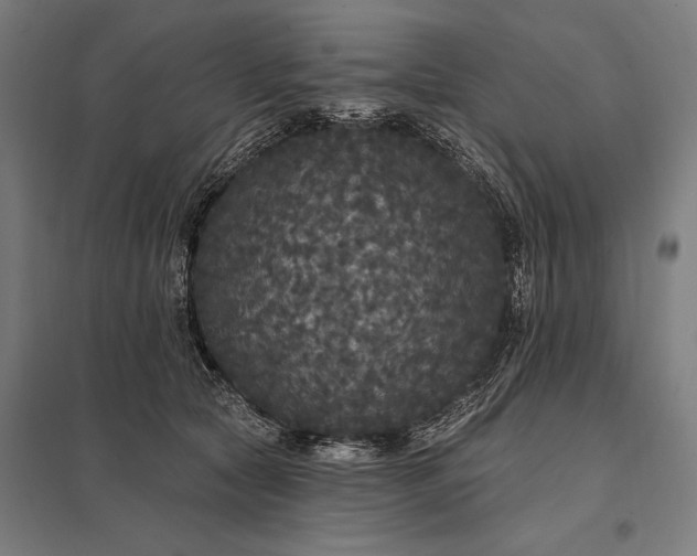 X0000097910561200803281405