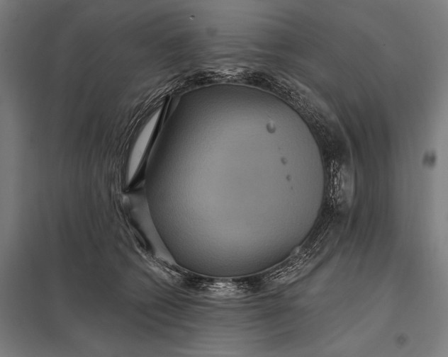 X0000097910562200803281405