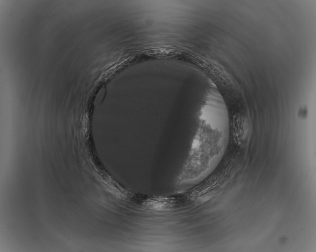 X0000097910563200803281405