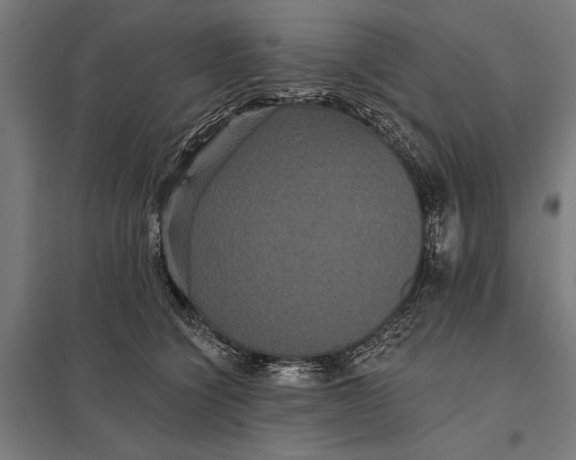 X0000097910564200803281405