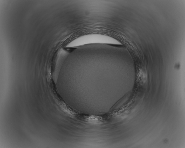 X0000097910566200803281405