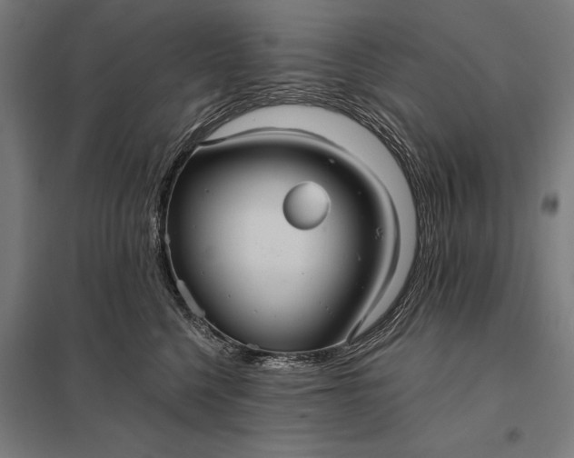 X0000097910568200803281405