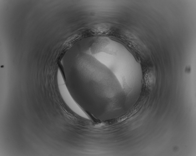 X0000097910570200803281405