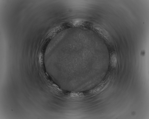 X0000097910571200803281405