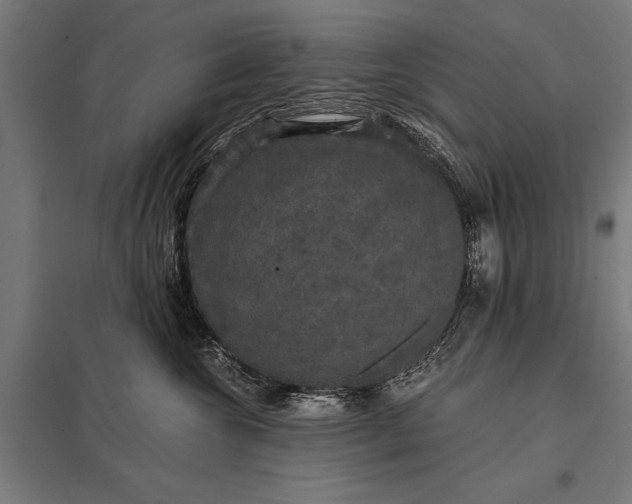 X0000097910572200803281405