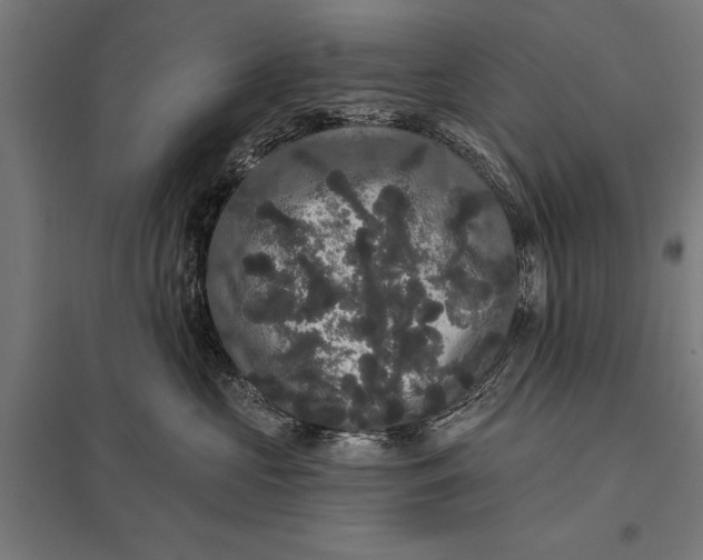 X0000097910573200803281405