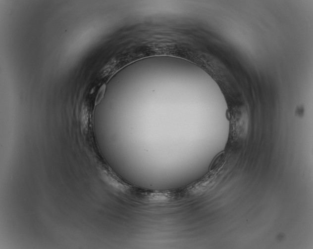 X0000097910574200803281405