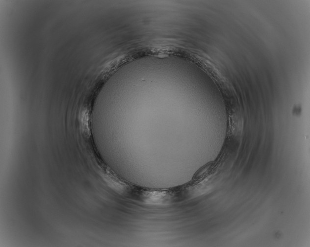 X0000097910575200803281405