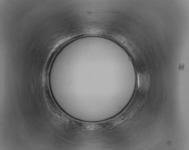 X0000097910579200803281405