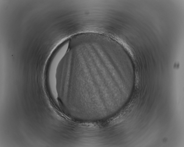 X0000097910580200803281405