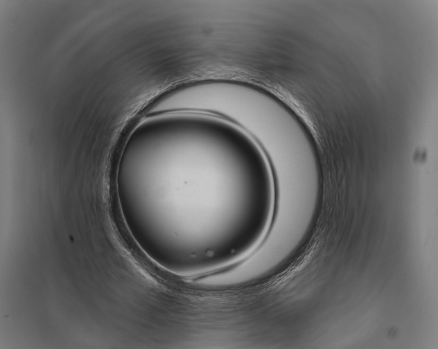 X0000097910581200803281405