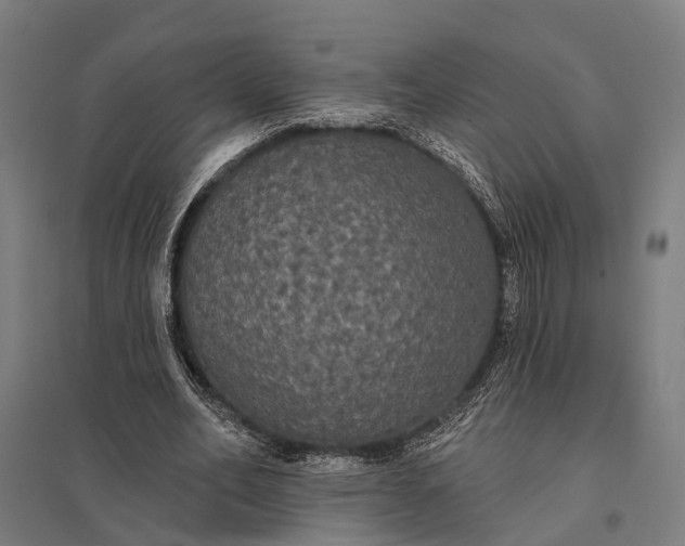 X0000097910582200803281405