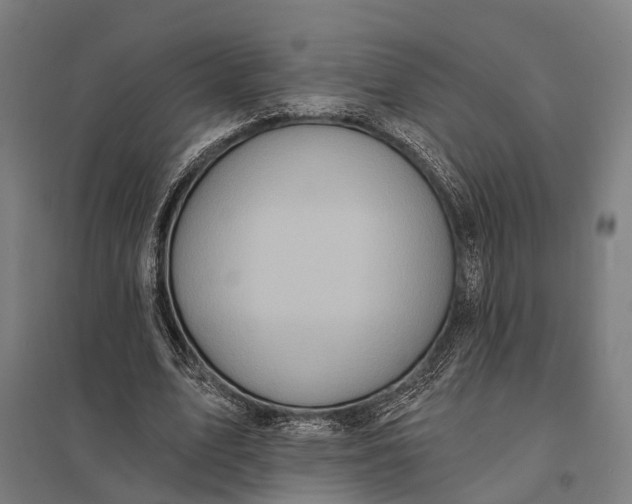 X0000097910583200803281405